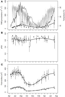 A 15-Month Survey of Dimethylsulfoniopropionate and Dimethylsulfoxide Content in Posidonia oceanica